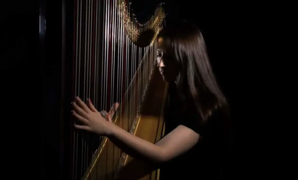 Amy Turk Amy Turk, Harpist
