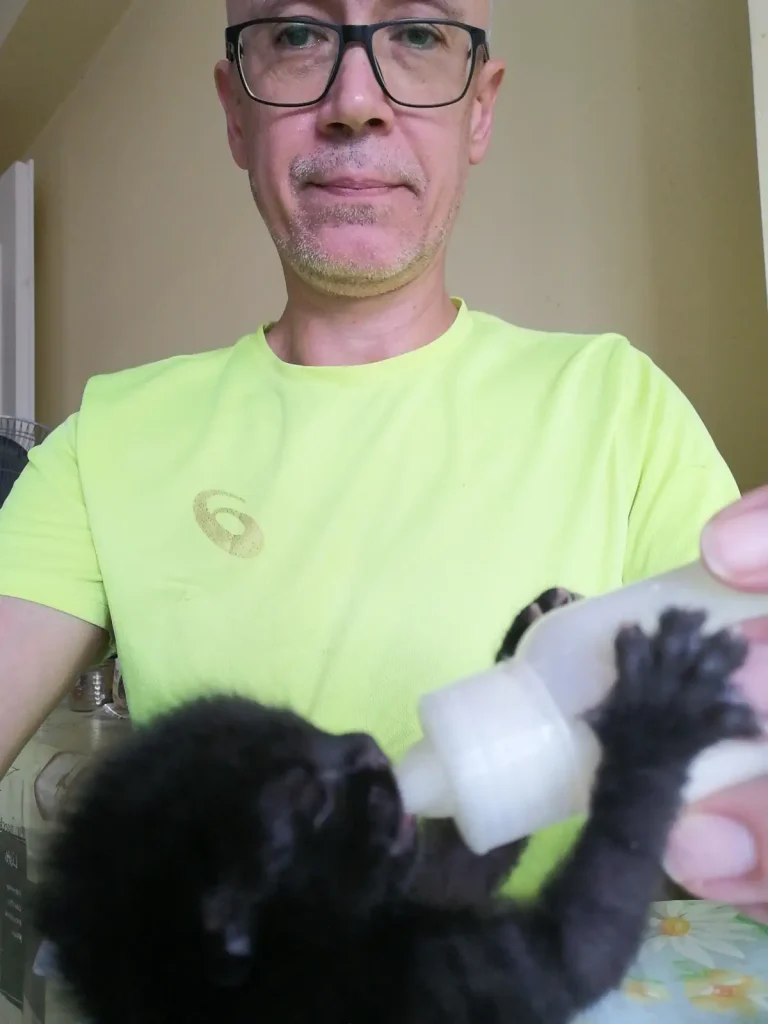 Özgür Nevres with Zeytin the cat